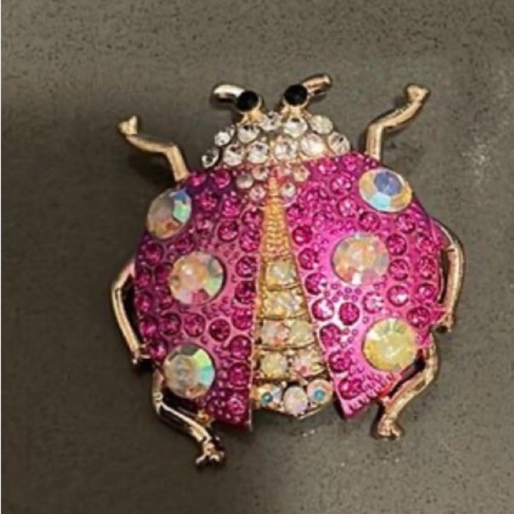 Pink and Gold Ladybug Brooch